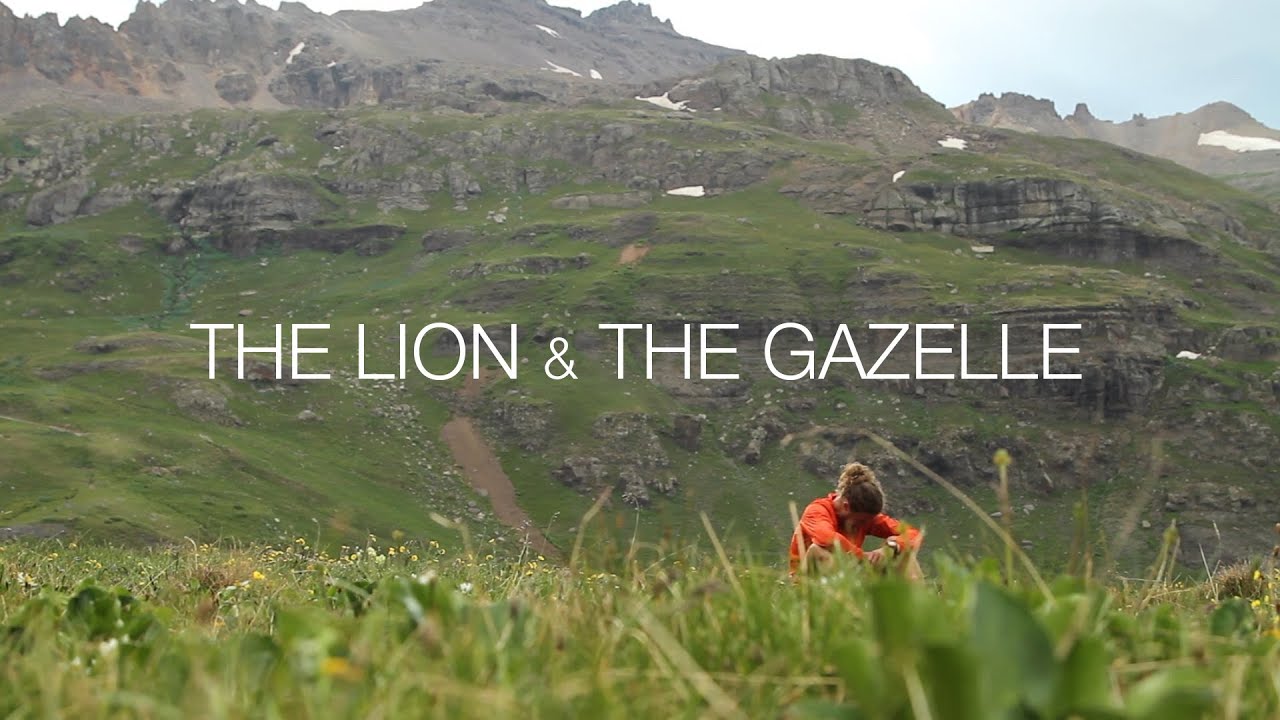 The Lion & The Gazelle