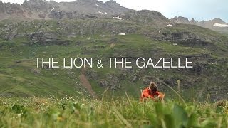 The Lion & The Gazelle
