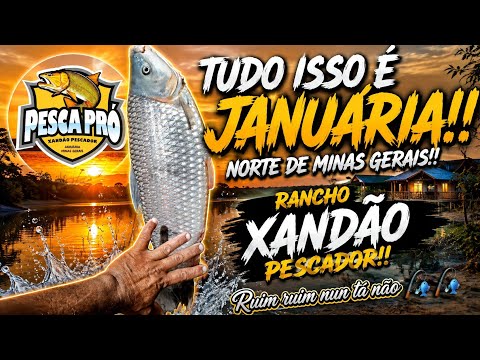 Tudo isso é Januária!!! Norte de Minas gerais!!! 