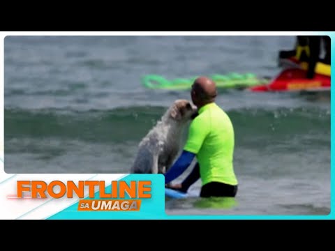 For Today’s Video: Aso at furparents, sumabak sa dog surfing contest sa Spain I Frontline Sa Umaga