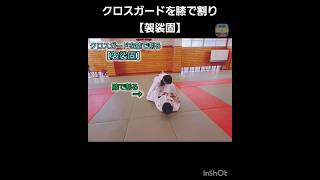 クロスガード割り方🥋袈裟固🥋