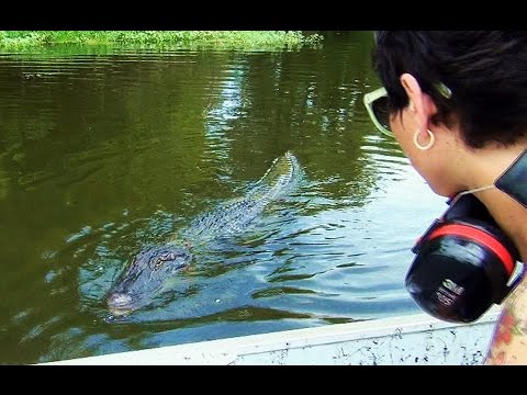 Airboat Ride on The Atchafalaya Basin