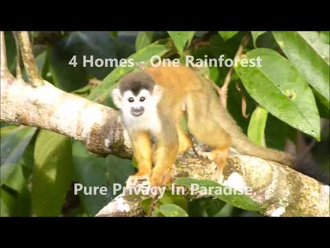 Already used for beauty and detoxification, the oldest remedy for the newest super food .