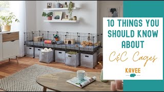 10 Things You Should Know About C&C Cages for Guinea Pigs!