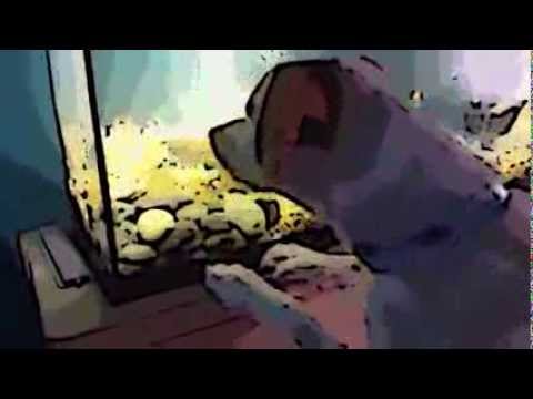 Police dog rounds up evil fishes