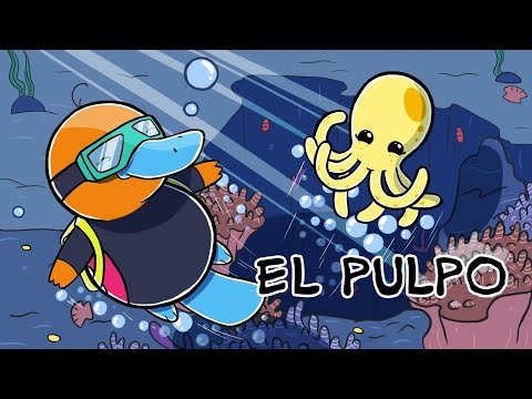 Hola Flinko - Pulpo / Capítulo 7 Completo Temporada 1