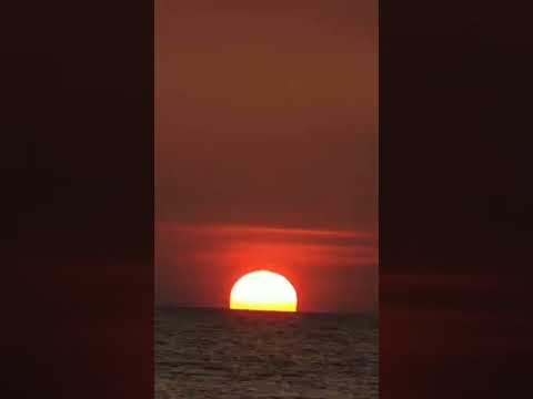 Nature photography #Swarit Redekar# #shortsviral