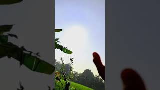 Download lagu video cinematic 30 detik || pagi hari mp3