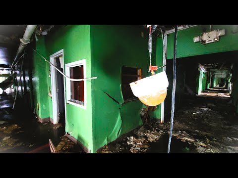 This One was Emotional - Exploring Old Menorah Park