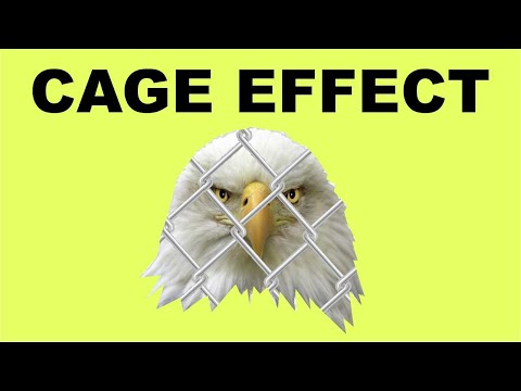 CorelDraw 2021 New Features