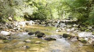 Flute Music and Healing