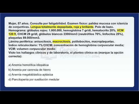 Anemia Megaloblástica (Hematología)