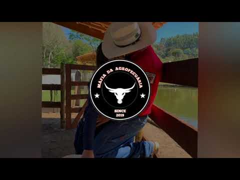 Forró Top 10 - Atende aí Amor (Máfia da Agropecuária)