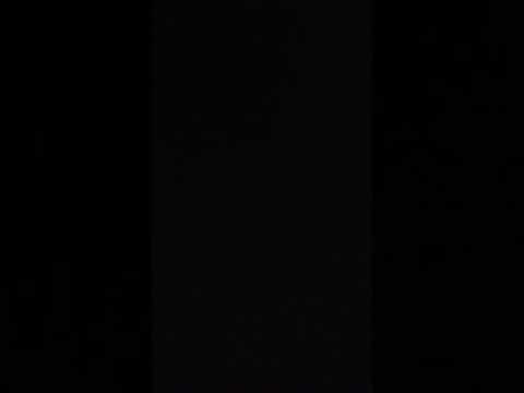 T money I'm rid for my nigga die for my nigga