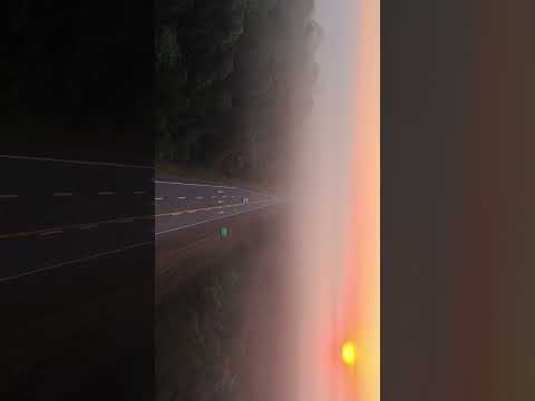 Amanecer en la selva misionera, El Dorado, Misiones, Ruta 12