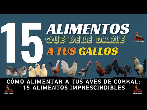 , title : '15 alimentos que benefician a tus gallos, gallinas y pollitos'