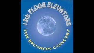 13th Floor Elevators - The Reunion Concert - Full Album