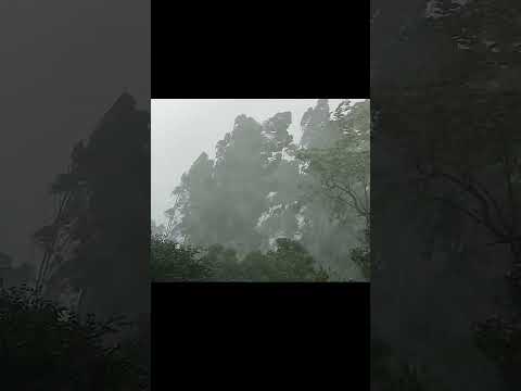 Temporal em Charqueadas-RS (2024)
