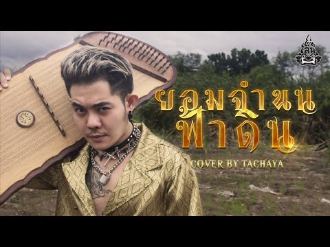 TACHAYA (เก่ง ธชย) - ยอมจำนนฟ้าดิน [Lyric Video] Original by โบวี่