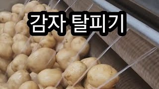 이거 대~박 놀라운 감자 탈피기