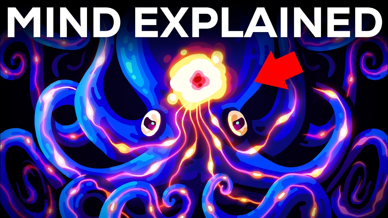 Let’s Explore Your Most Secret Place: Your Mind