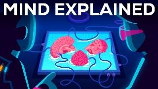 Let’s Explore Your Most Secret Place: Your Mind