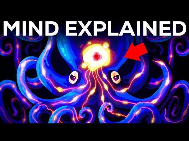 Our Minds Are Weirder than You Think SDDEFAULT Thumbnail