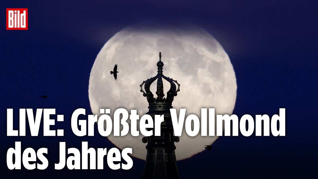 🔴 Supermond LIVE anschauen – Der größte Vollmond des Jahres über Deutschland | BILD LIVE