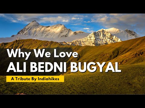 Why We Love The Ali Bedni Bugyal Trek | A Tribute By Indiahikes