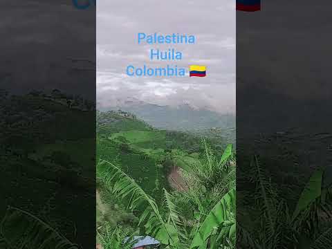palestina Huila Colombia 🇨🇴