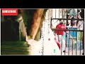 True Love End Full Movie WhatsApp Status