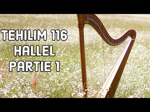 Rav David Benitah - Etude des Tehilim 116 ( Hallel) 1er cours