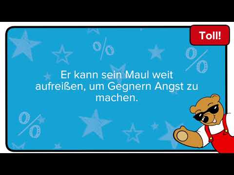 PLAYMOBIL® Dragons - Astrid und Sturmpfeil