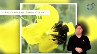 Miniatura do vídeo