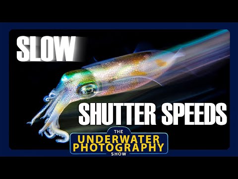 Mastering Slow Shutter Speeds In Underwater Photography