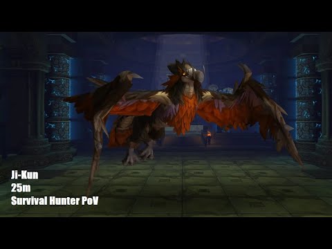 Ji-Kun Heroic 25m | Throne of Thunder | Survival Hunter PoV | Mist of Pandaria Classic