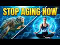 Breathe Like A Turtle Live 100 Years The Science Of Kumbhak