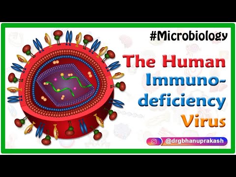 The Human immunodeficiency virus (HIV) , Medical microbiology animations