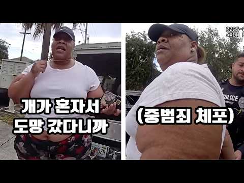 믿고 맡긴 펫시터가 500만원짜리 프렌치불독을 팔아버렸다 https://img.youtube.com/vi/dl3-QN0rT0I/hqdefault.jpg 믿고 맡긴 펫시터가 500만원짜리 프렌치불독을 팔아버렸다