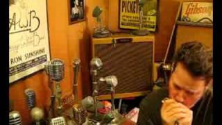 Video thumbnail for ElectroVoice EV 635A Omni Dynamic Mic Harp Vocals by GoldenBug
