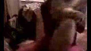Rock Yo Hips Music Video