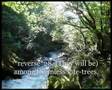 Surat Al-Waqiah 1-56-Muhammad Al-Luhaydan ...