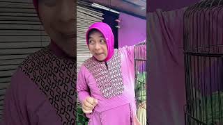 Download lagu Hilarious and crazy video @suciptomartinreal / After taking a shower, I'll play again, okay? #shorts mp3