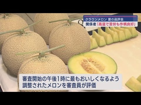 YouTube Video 「いいメロンがそろった」 静岡市でクラウンメロンの品評会