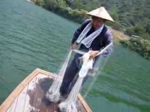 Parformance of the Cast net fishing  @ Shimanto river, Kochi Prefecture in Japan!