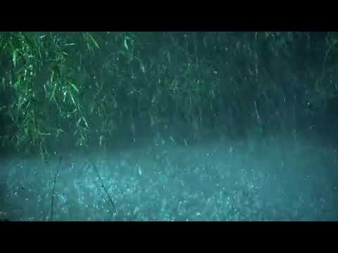 Beat Tinnitus with Heavy Rain on Lake, Calm Thunder in Deep Forest - Real Rain Sounds for Sleeping