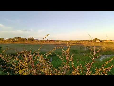 CENAS DO NOSSO SERTÃO DE PERNAMBUCO EM SERRITA PE 