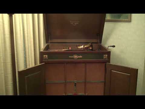 JOHNNY JOHNSON'S STATLER PENNSYLVANIANS - LOVELY LADY - ROARING 20's VICTROLA 8-9