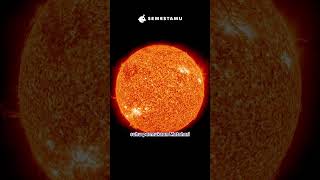 Download lagu IT'S NOT THE SUN! THIS IS THE HOTTEST THING IN THE UNIVERSE #shorts #universe #science #supernova mp3 Download lagu IT'S NOT THE SUN! THIS IS THE HOTTEST THING IN THE UNIVERSE #shorts #universe #science #supernova mp3