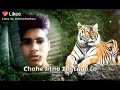 New Timli Song 2020